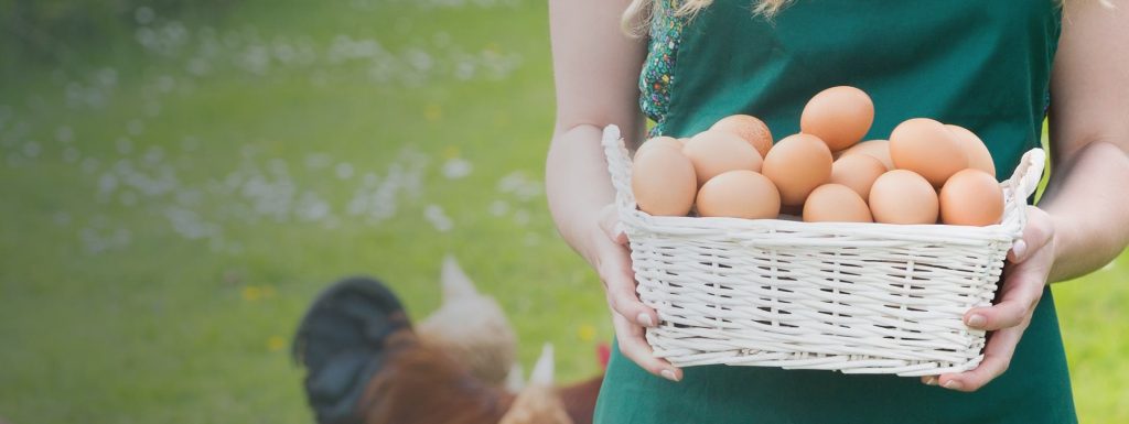 Person holding basket of eggs