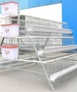 120 bird egg laying cage for poultry