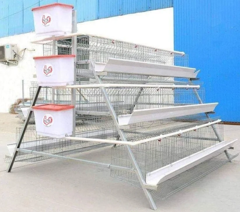 120 bird egg laying cage for poultry