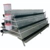 240 bird egg laying cage for poultry