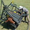 Calf and Tollie tilt clamp for livestock