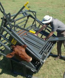 Calf and Tollie tilt clamp for livestock