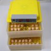 FRD-48 poultry egg incubator and hatcher