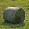 Meadow hay bale for livestock feed