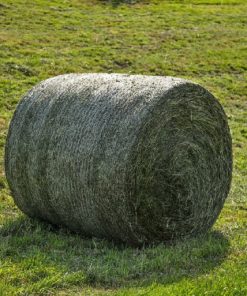 Meadow hay bale for livestock feed