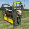 Neck and body clamp for cattle handling